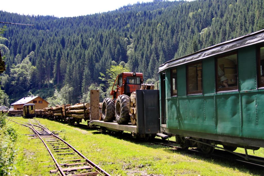 Maramures si Sovata IMG_0886_zps743aa0c2