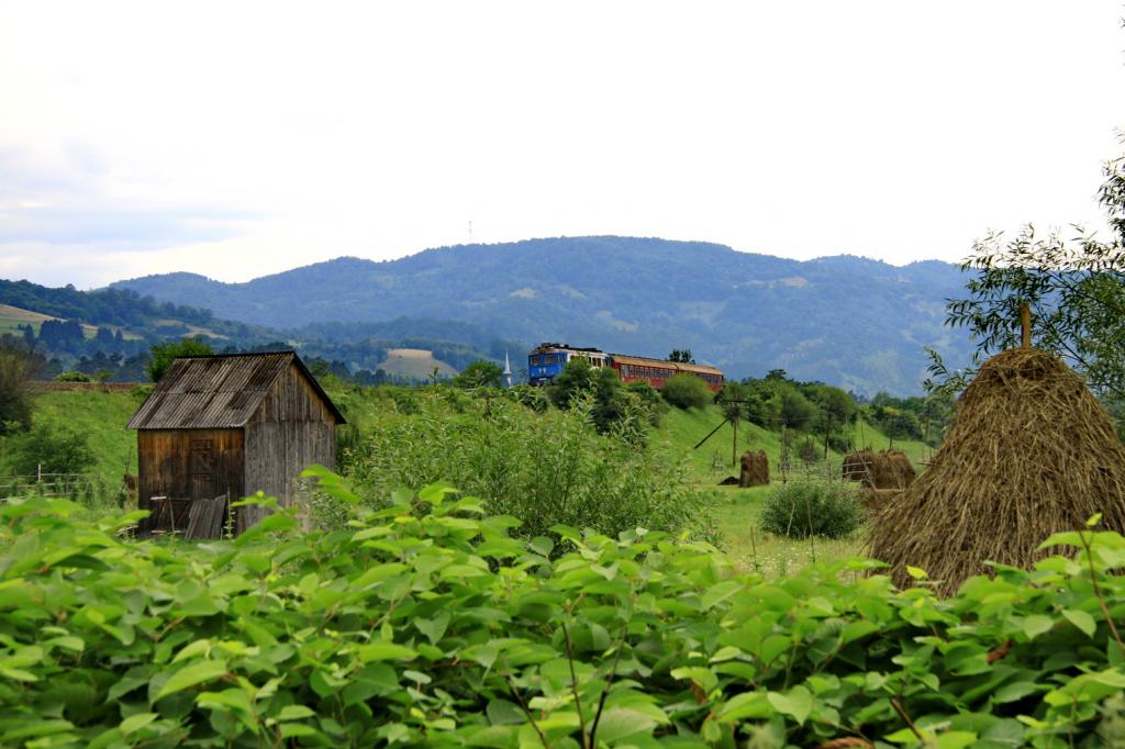 Maramures si Sovata IMG_8557_zpse034a189