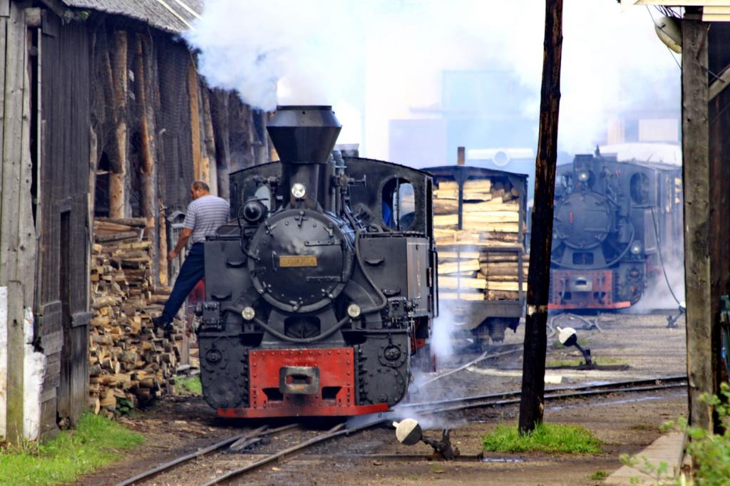 Maramures si Sovata IMG_8943_zps75d116df