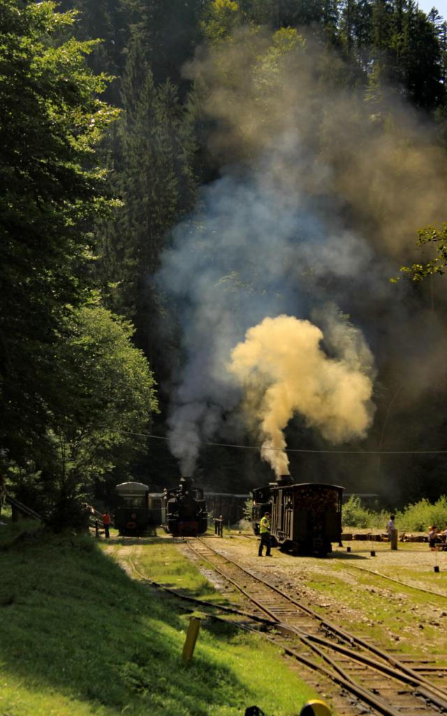 Maramures si Sovata IMG_9429_zps65af3347