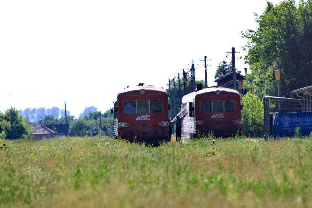 Turnu Magurele - Segarcea Deal Corabia-2