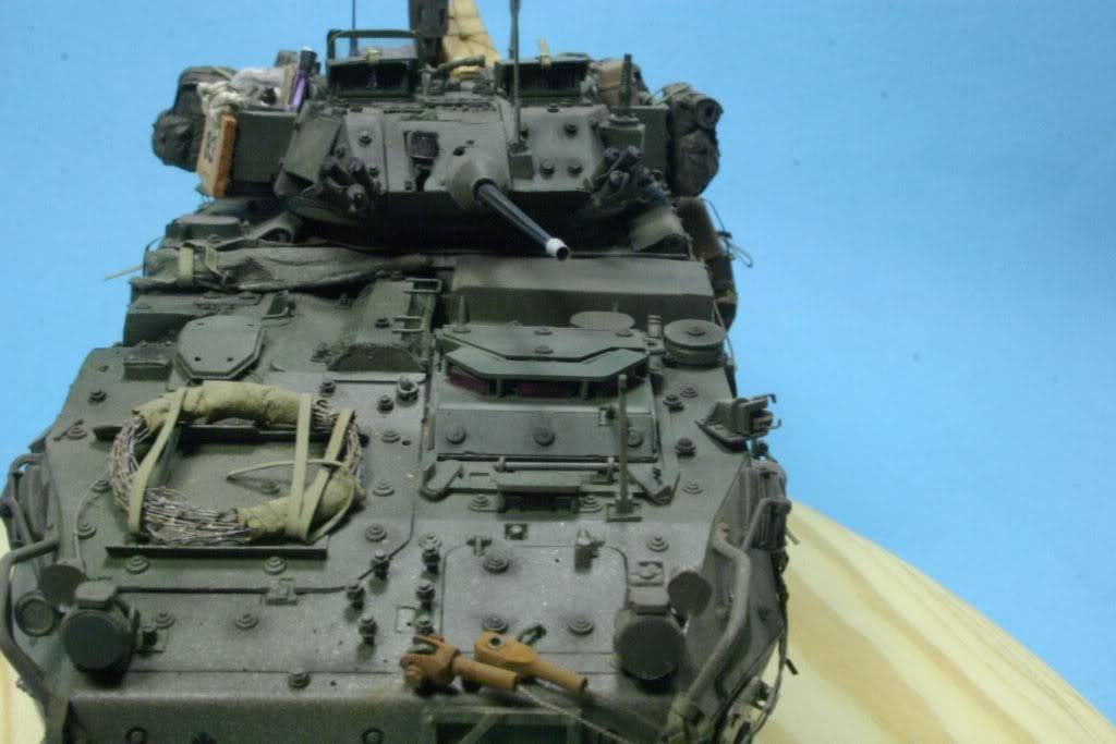 Canadian LAV III Photo14-1