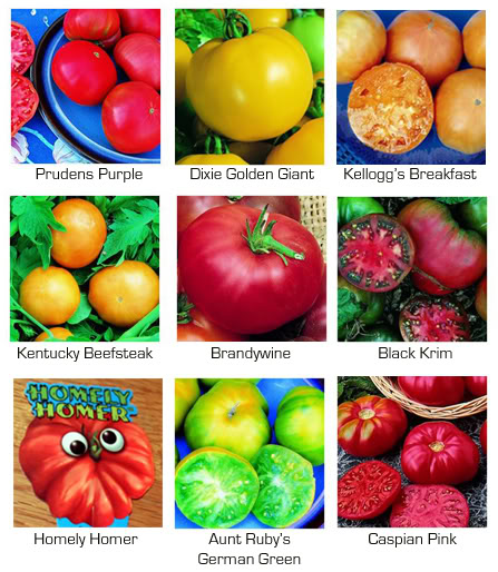   HeirloomTomatoes