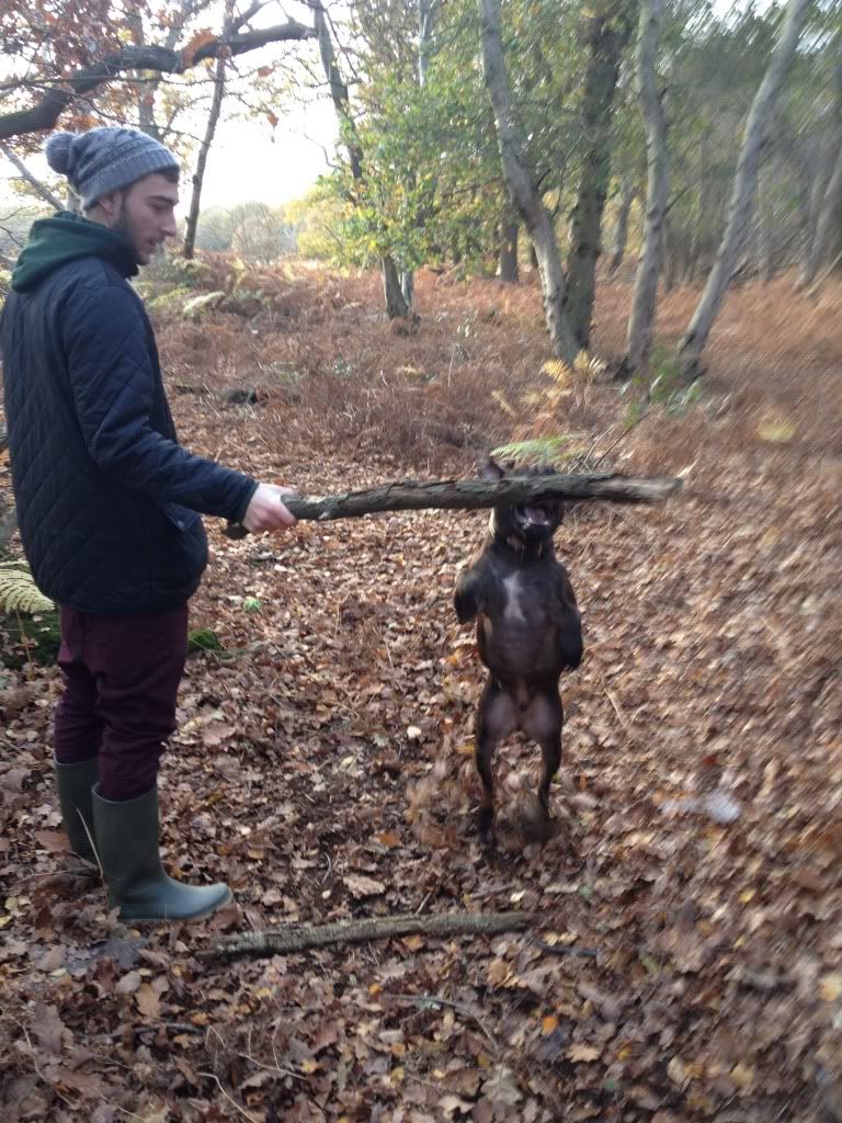 Me and Chase on our walk in the woods. Yeyed