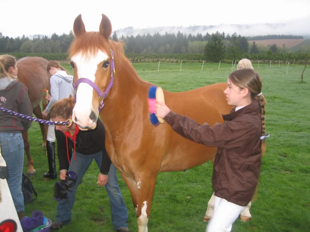 Shally and I at our first Dressage Show! Emmashorseshow