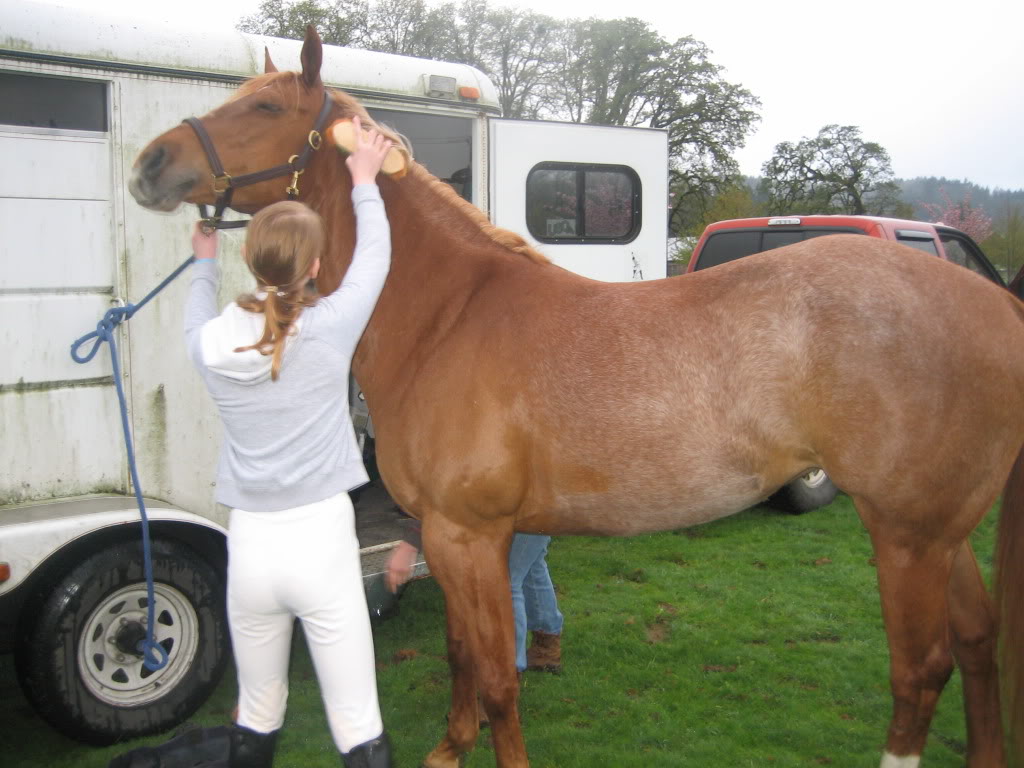 Pics Of Mine And Shally's First Dressage Show! (Shally is my horse's name) IMG_1848