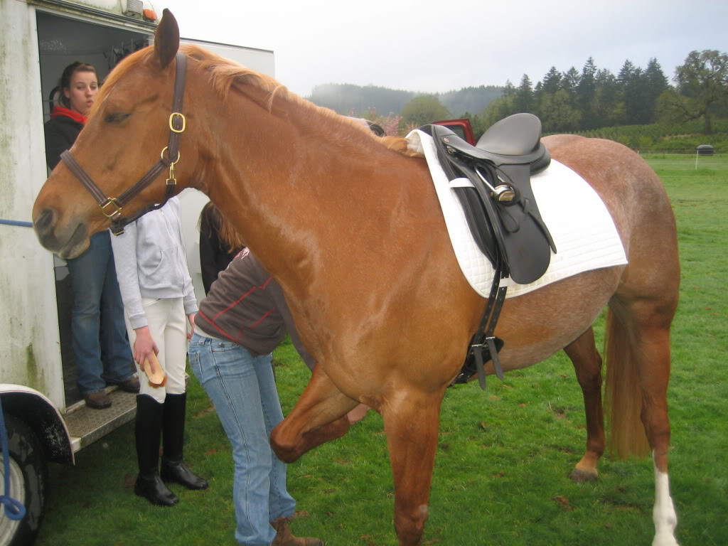 Shally and I at our first Dressage Show! IMG_1853