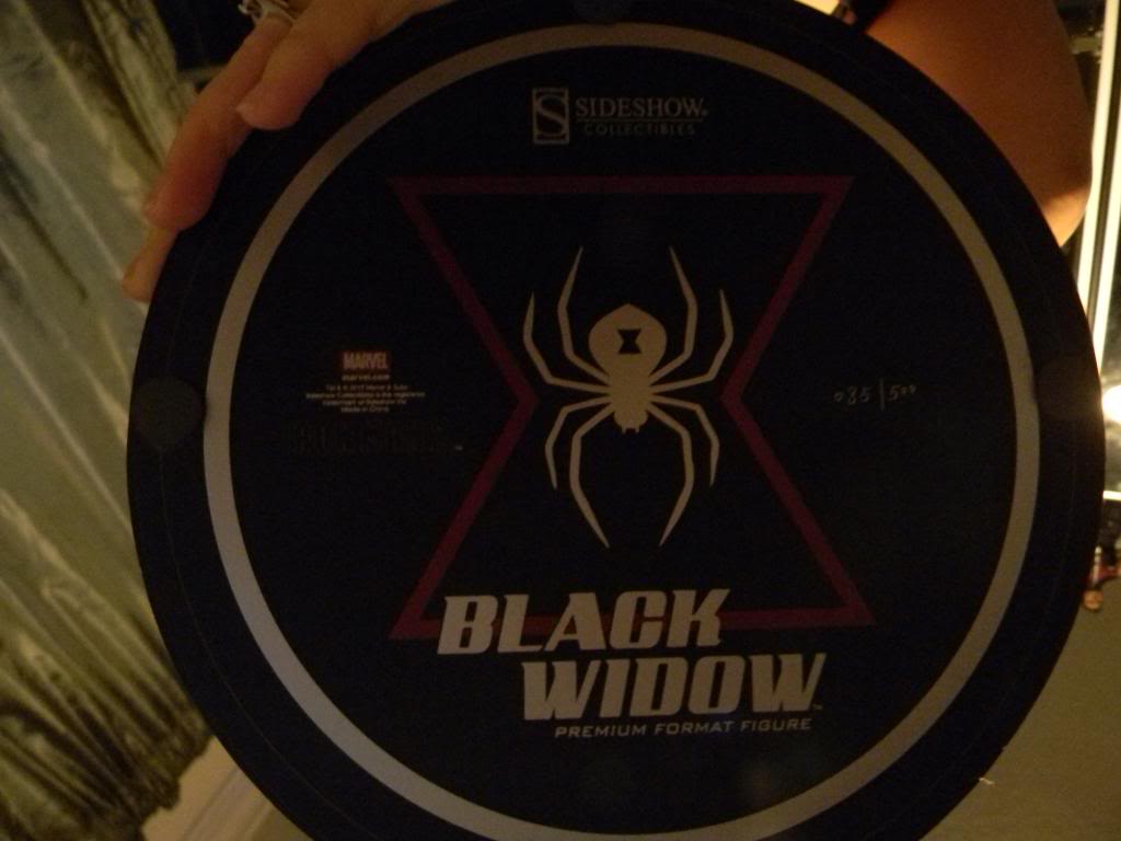 [Sideshow] Black Widow Movie Premium Format - LANÇADA!!! - Página 5 DSCN4783_zps08afd82f