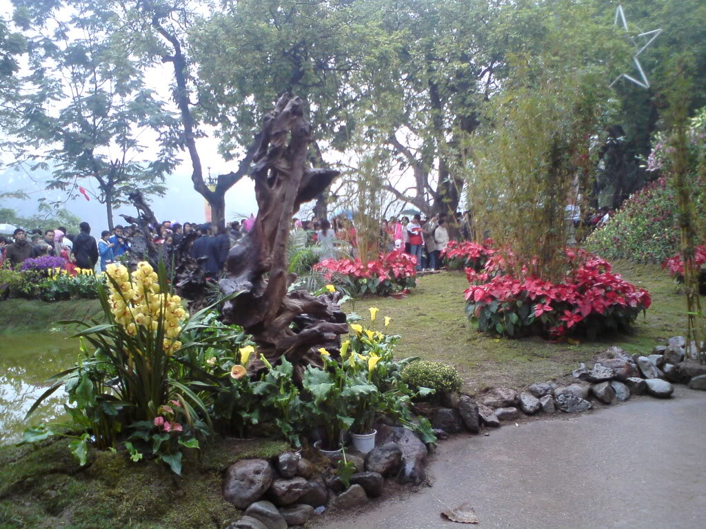1-1-2010 hồ Hoàn Kiếm-phố hoa :D DSC00054