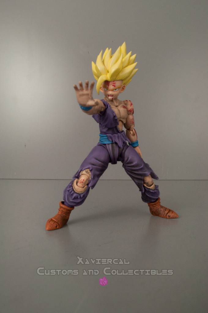 Dragon Ball : Custom par les fans DSC_0028_zpsq6e6jswe