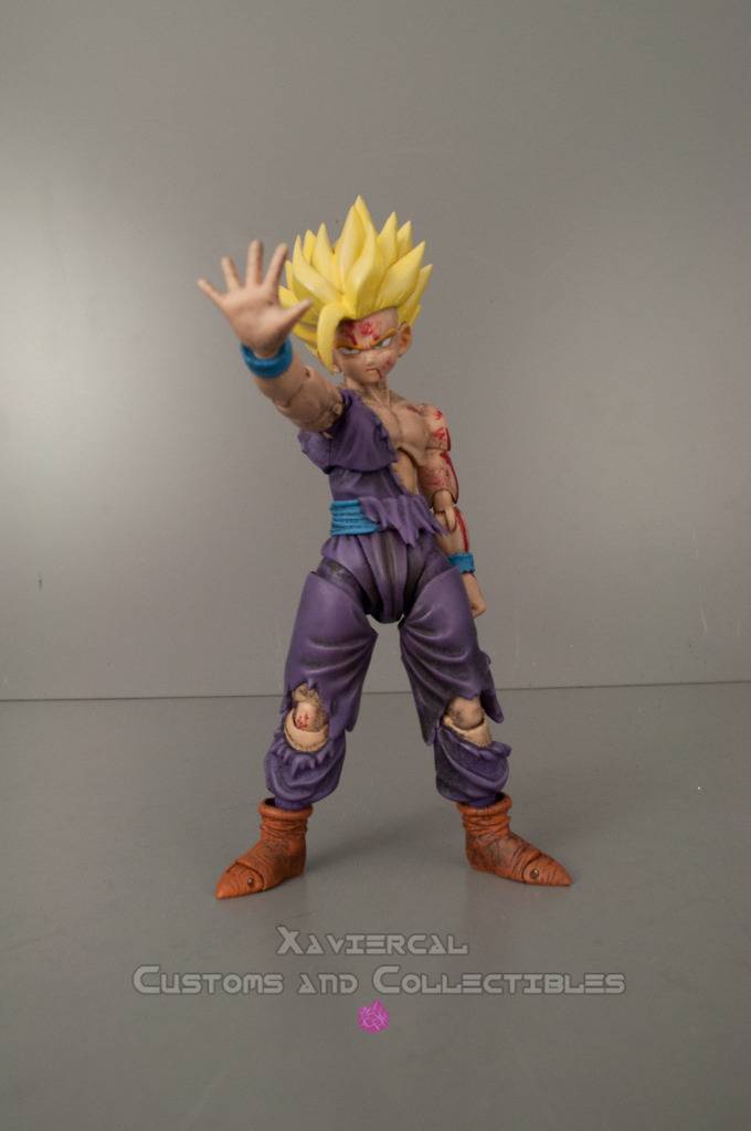 Dragon Ball : Custom par les fans DSC_0031_zpszzcvfyzb