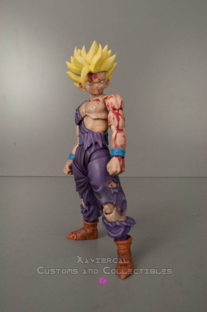 Dragon Ball : Custom par les fans DSC_0032_zpsiqqb18l8