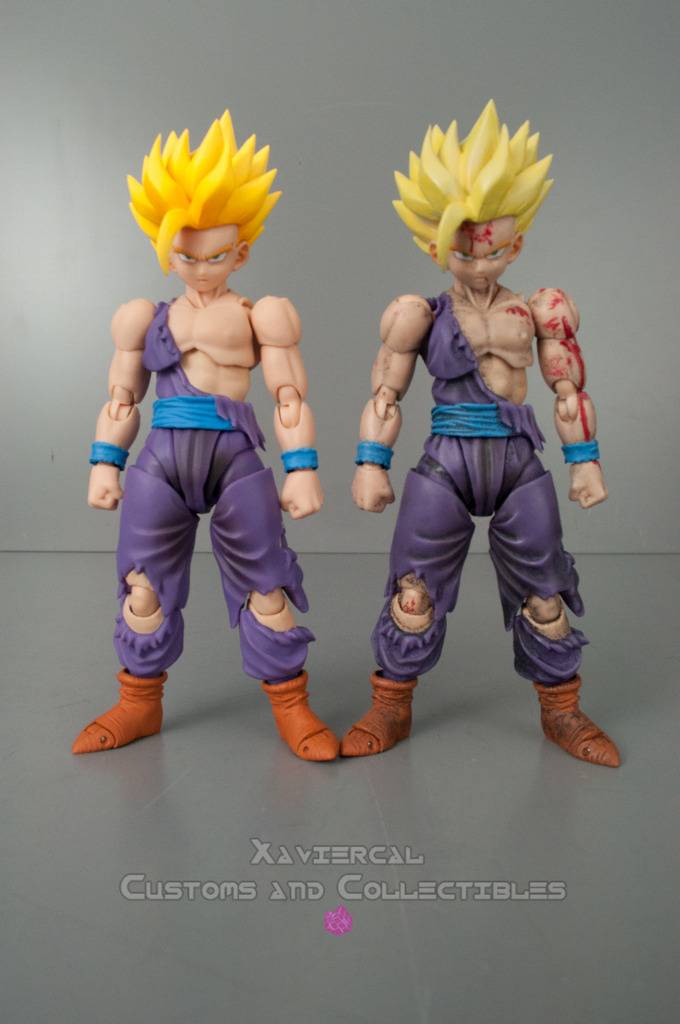 Dragon Ball : Custom par les fans DSC_0035_zpso80rz4h7