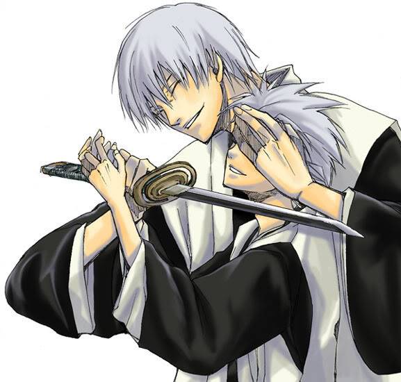 Bleach Ginandtoshiro8