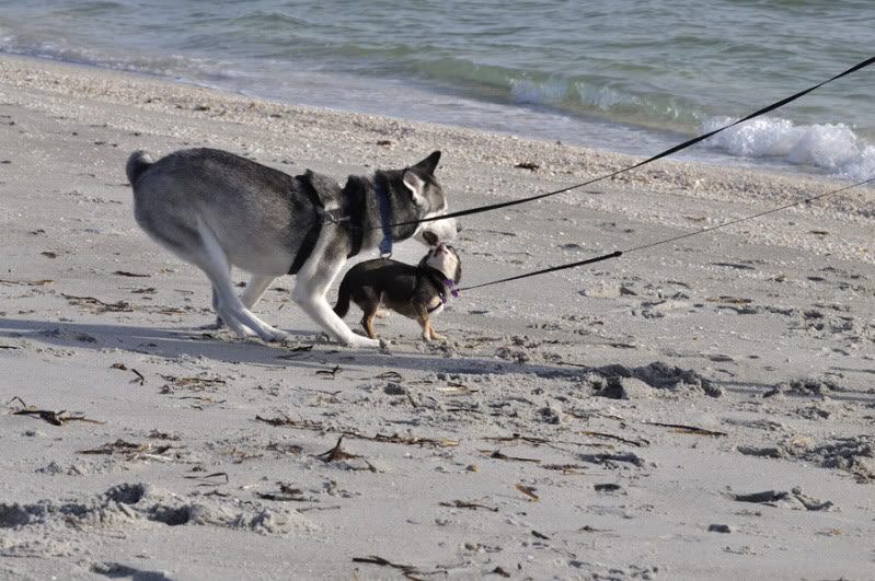 Dakota & Faith *Updated 5/11/13* _DSC5092_filtered