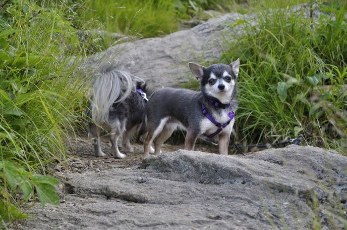 Dakota, Faith & Glory's 2011 in photos! _DSC9810_filtered