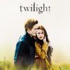 Avatars Twilight Twilight053