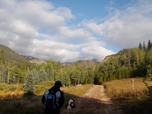 Hiking with Dogs: Whale Peak, CO P9091885