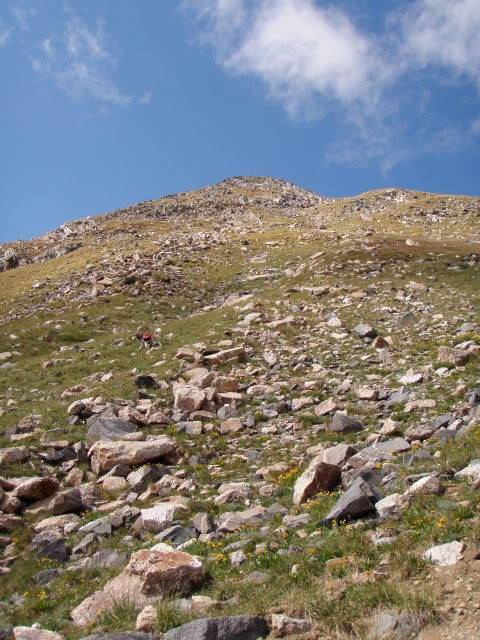 Hiking with Dogs: Whale Peak, CO P9091910