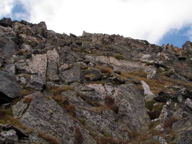 Hiking with Dogs: Whale Peak, CO P9091911