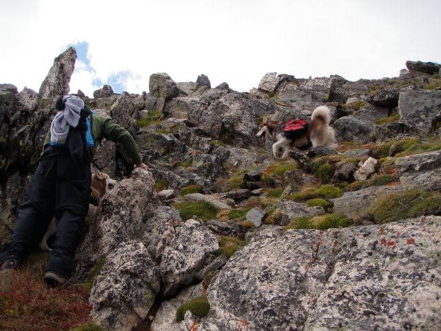 Hiking with Dogs: Whale Peak, CO P9091912