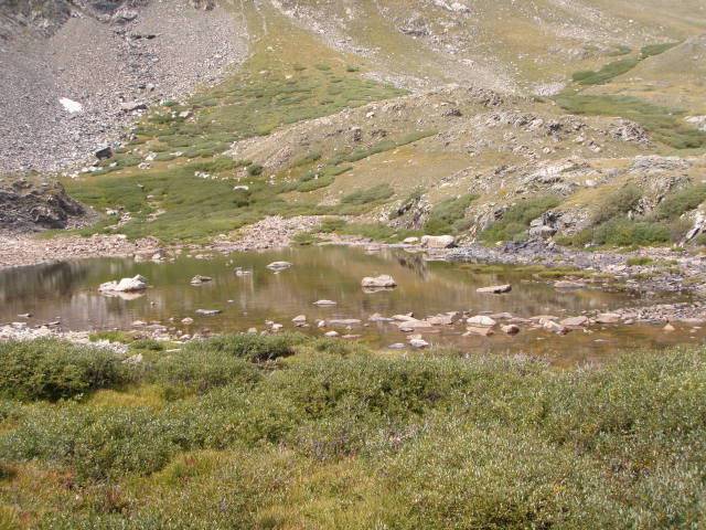 Hiking with Dogs: Whale Peak, CO P9101935