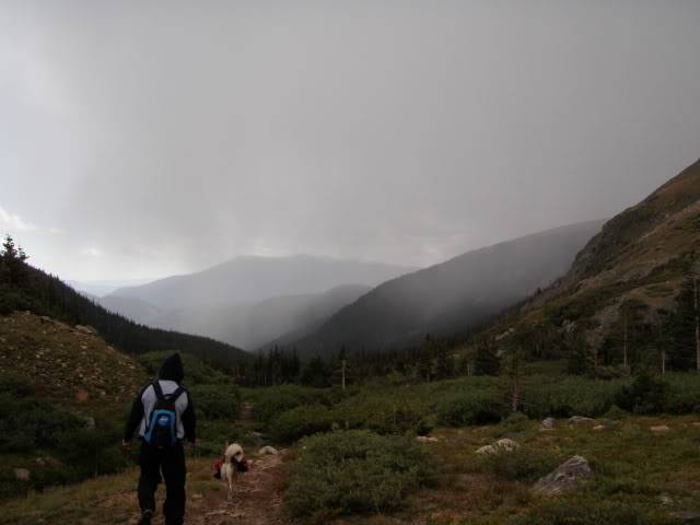 Hiking with Dogs: Whale Peak, CO P9101937