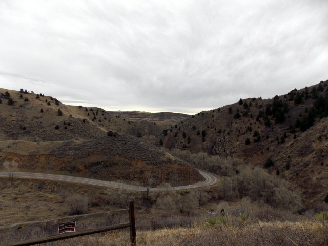 Hiking with Dogs: Mt. Galbraith park, CO 2012-01-01000000-21-2