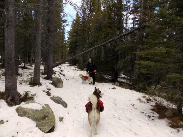 Hiking with Dogs: Coney Flats, CO 2012-01-01000000-9