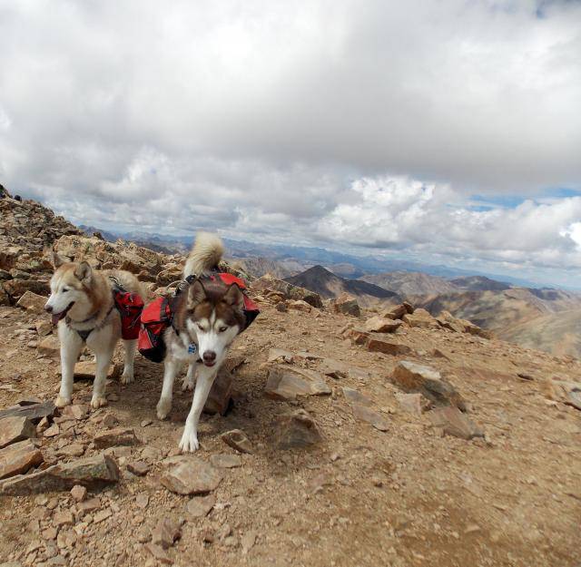 Hiking with Dogs: Mt. Elbert, tallest peak in Colorado  2011-12-31230000-154