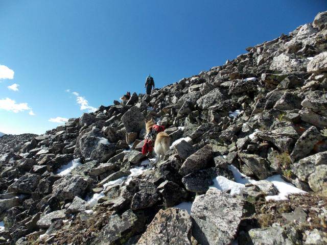Hiking with Dogs: Crystal Peak, Colorado 2011-12-31230000-17