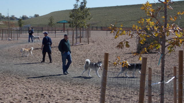 H2M2- Colorado- Oct. meet up- Lowry dog park 2012-10-14120758