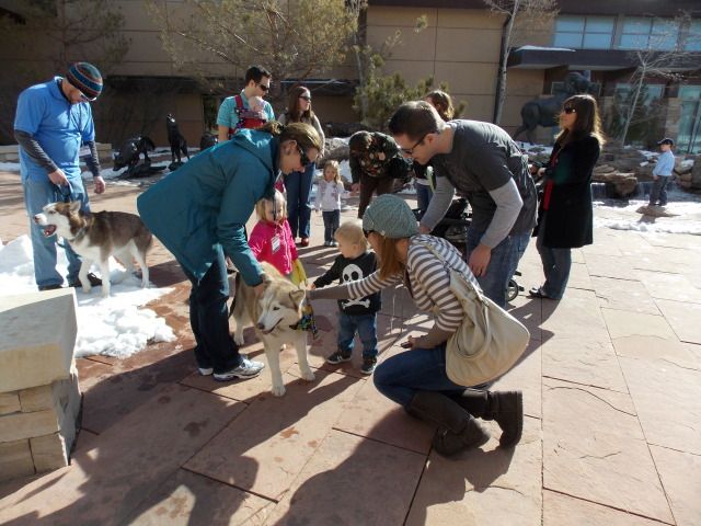 Rescue Event this past weekend with North Star Sib rescue 2012-01-01000000-32