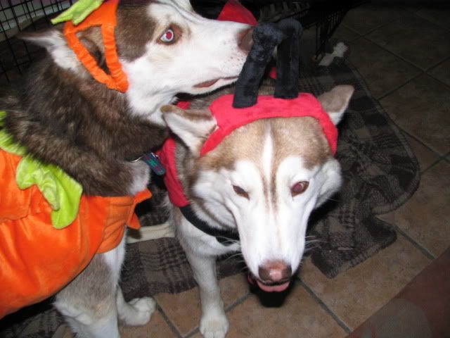 Halloween for Sierra and Jack IMG_1962