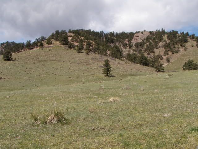 Mt. Sanitas loop 5-1-10 P4301067