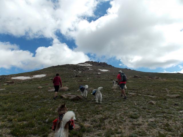 Hiking with Dogs: Independence pass, Colorado 2011-12-31230000-22