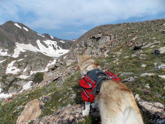 Hiking with Dogs: James Peak, Colorado 2011-12-31230000-30