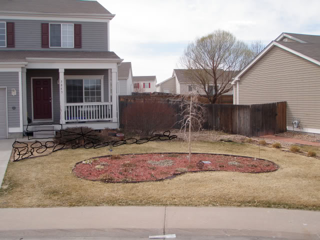 Jenn's Gardening Thread---what will this summer bring-2011 2011_front_yard_1