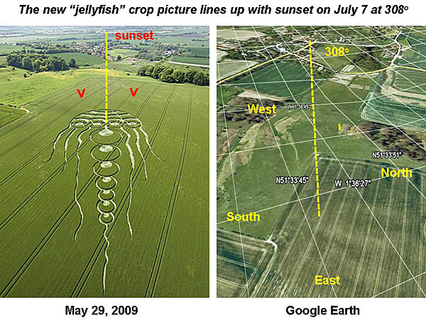 “Alien Symbols” in Milk Hill and South Field Waylands-comments3