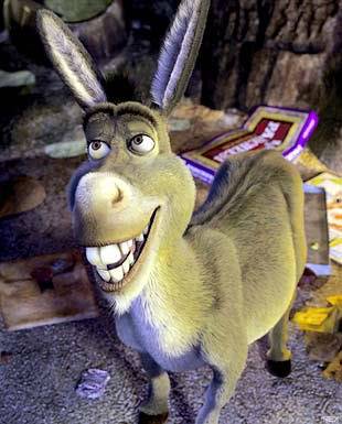 Reunite this is for you.  Found him wandering around. Donkey