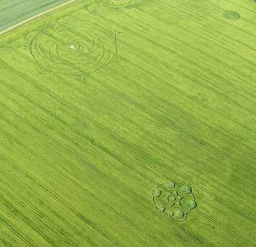 dragonfly crop circle Milk3