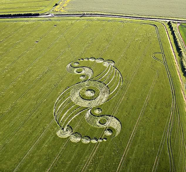 crop circles Vvvvvvvvvvvv