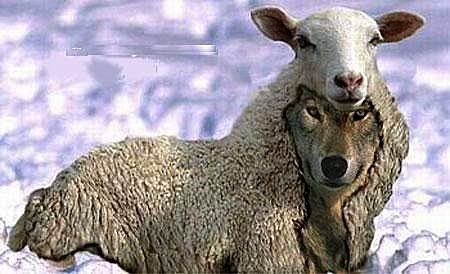 The purpose of Christianity Wolf-sheep