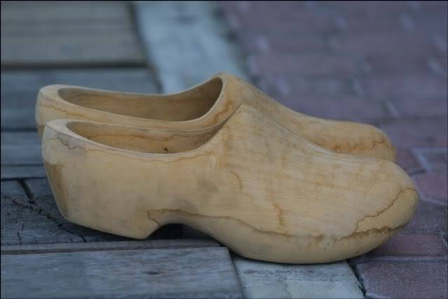 Hope no one here attended a Tea Party...You may now be considered a terrorist! Wooden-shoes