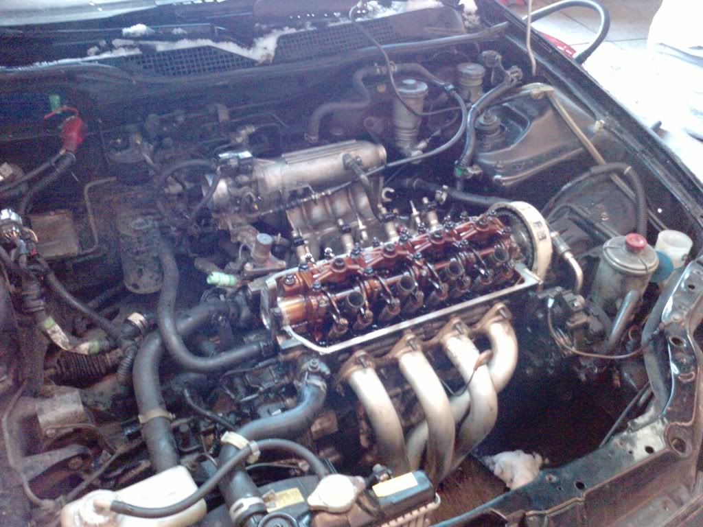 D16Z6 '93 Honda Civic EG5 VTEC SOHC! P1559_30-01-10