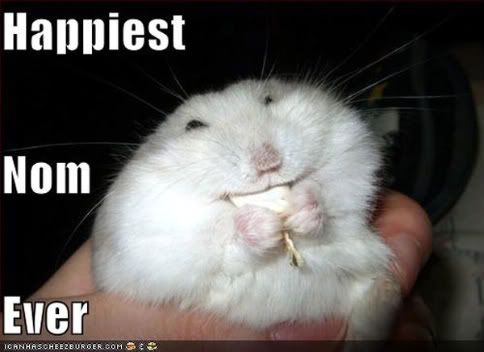 Post funny/foolish pictures here. - Page 10 Happy-hamster-nom-02