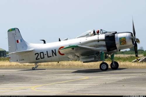 AD-4 Skyraider 1/48 [Revell] Algérie 1960 0999978