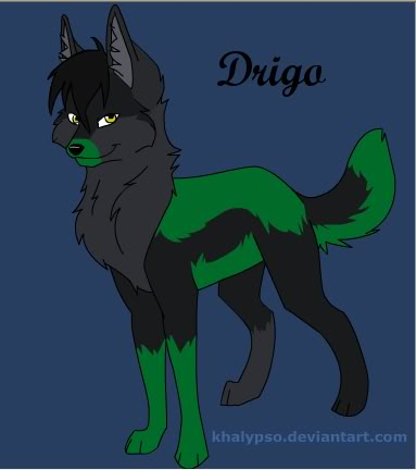 Khalypso~ (Wolf rp, somewhat Lit) -open- Drigo