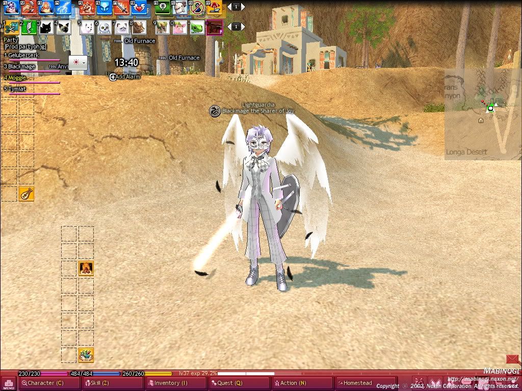 Screenies. :3  - Page 3 Mabinogi_2012_04_06_002