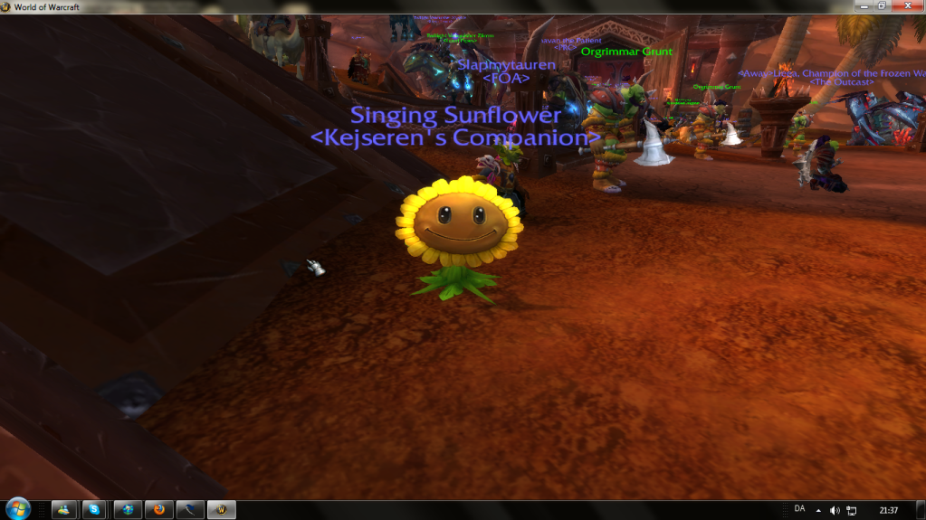 Pinnacle of Awesomeness. Sunflower